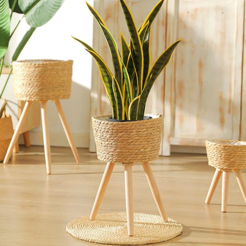 Elegant Wood Woven Plant Pot with Standing Legs - Volaia