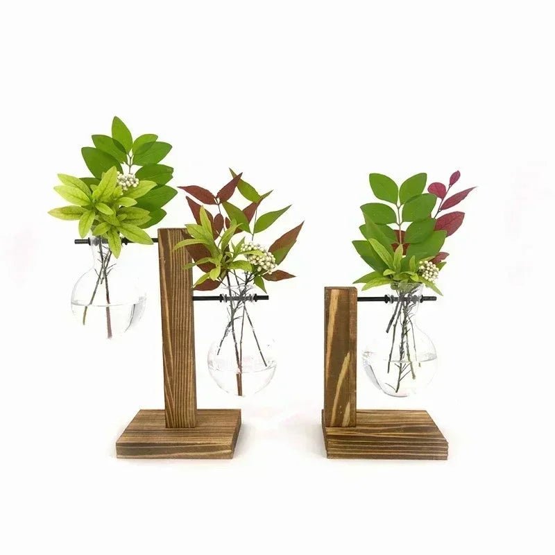 Vintage Hydroponic Terrarium Vase with Wooden Frame - Volaia