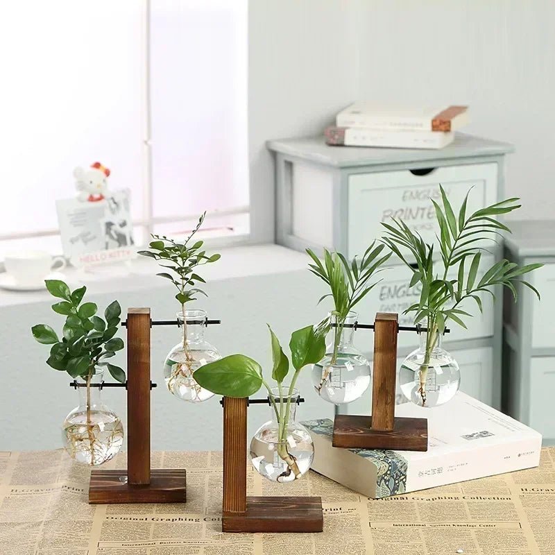 Vintage Hydroponic Terrarium Vase with Wooden Frame - Volaia