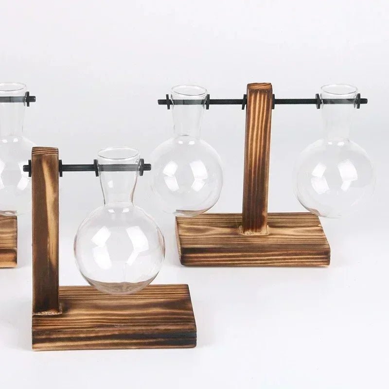 Vintage Hydroponic Terrarium Vase with Wooden Frame - Volaia