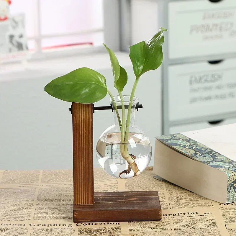 Vintage Hydroponic Terrarium Vase with Wooden Frame - Volaia