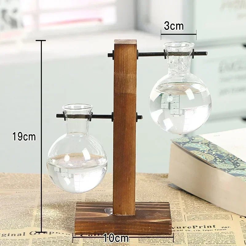 Vintage Hydroponic Terrarium Vase with Wooden Frame - Volaia