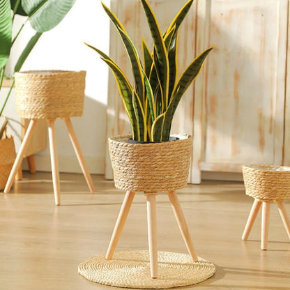 Elegant Wood Woven Plant Pot with Standing Legs - Volaia
