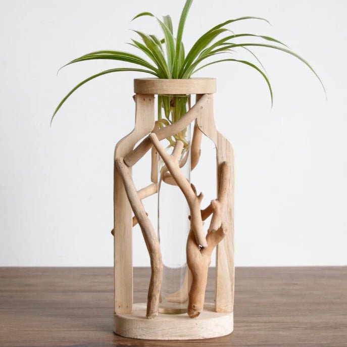 Handcrafted Wooden Vase with Glass Hydroponic Container - Volaia