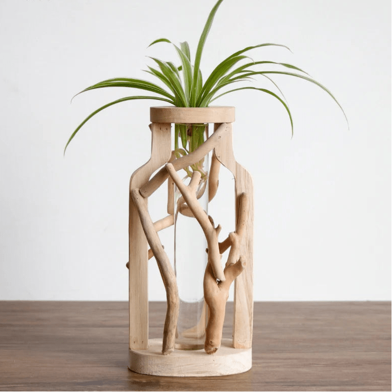 Handcrafted Wooden Vase with Glass Hydroponic Container - Volaia