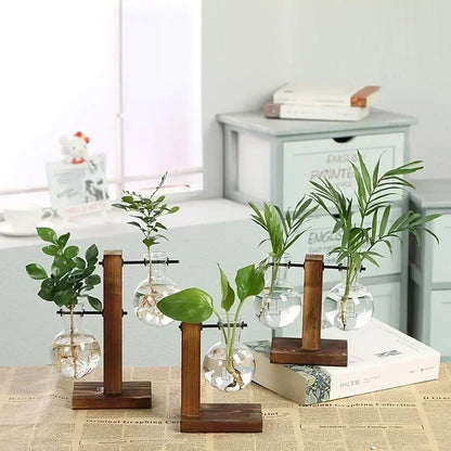 Vintage Hydroponic Terrarium Vase with Wooden Frame - Volaia
