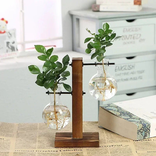 Vintage Hydroponic Terrarium Vase with Wooden Frame - Volaia