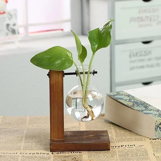 Vintage Hydroponic Terrarium Vase with Wooden Frame - Volaia